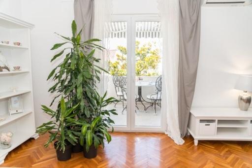 Apartment Doris